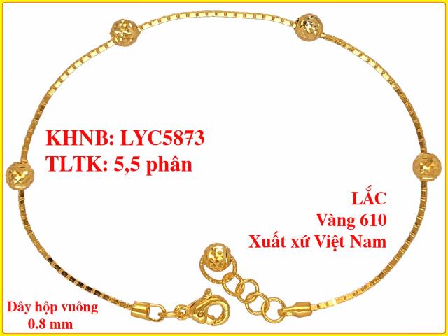LYC5873