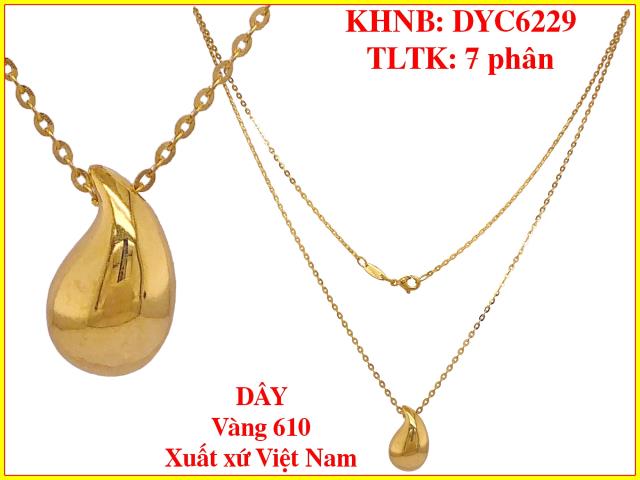 DYC6229