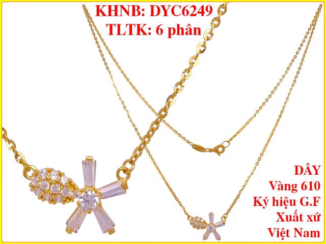 DYC6249