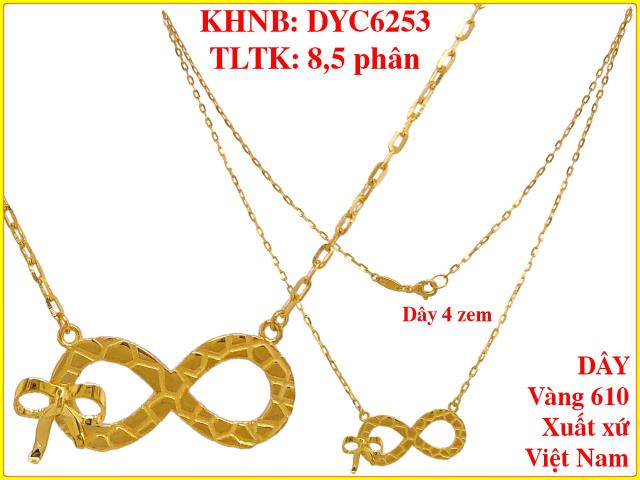 DYC6253