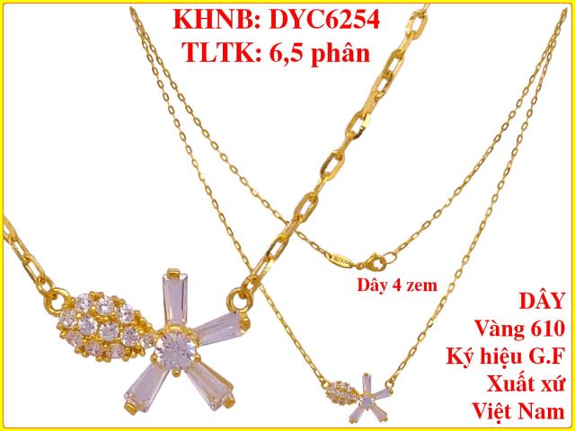 DYC6254