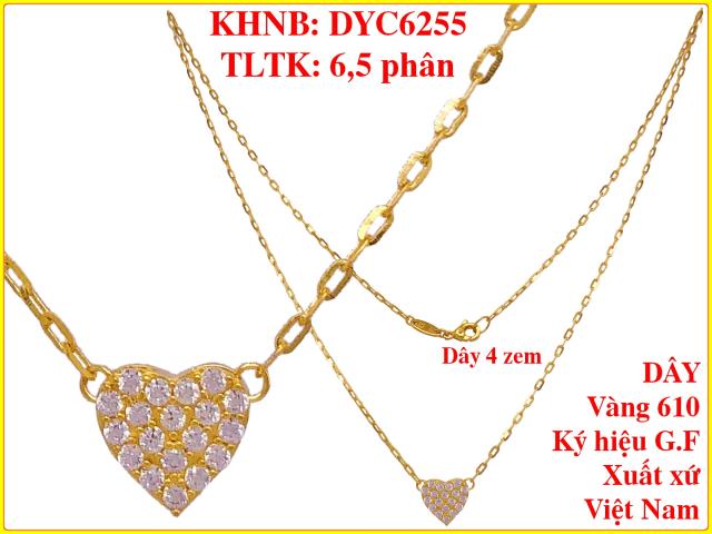 DYC6255