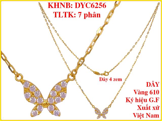 DYC6256