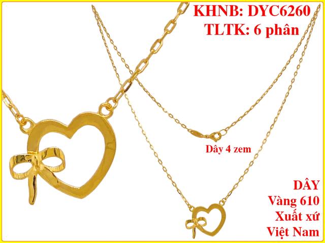 DYC6260
