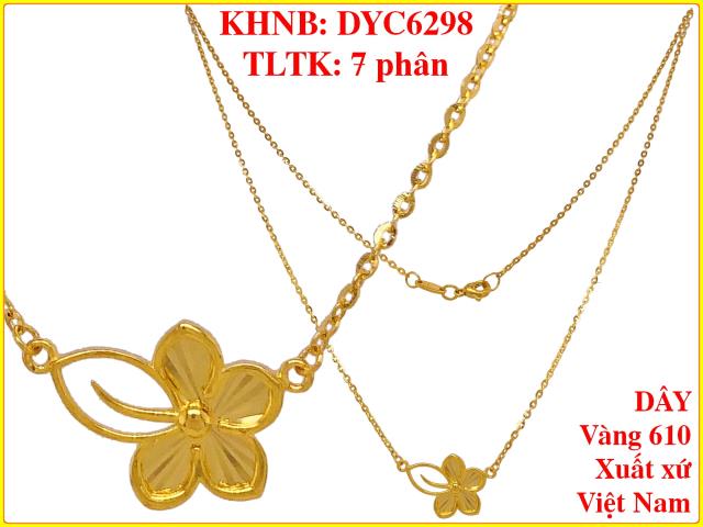 DYC6298
