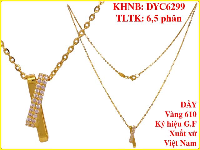 DYC6299