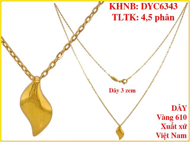 DYC6343