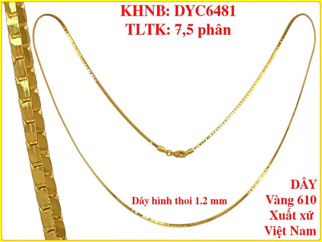 DYC6481