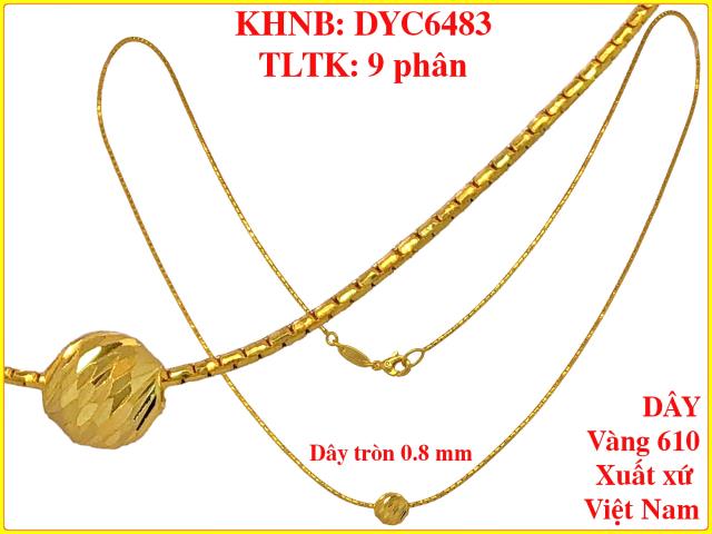 DYC6483