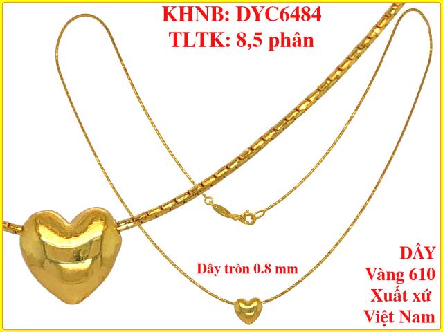 DYC6484