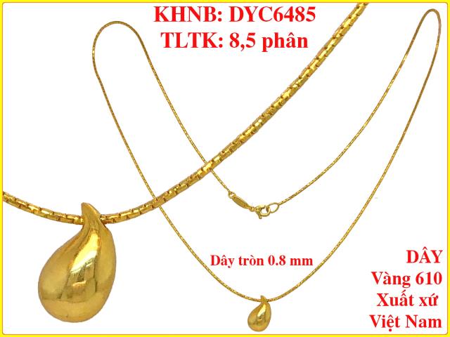 DYC6485