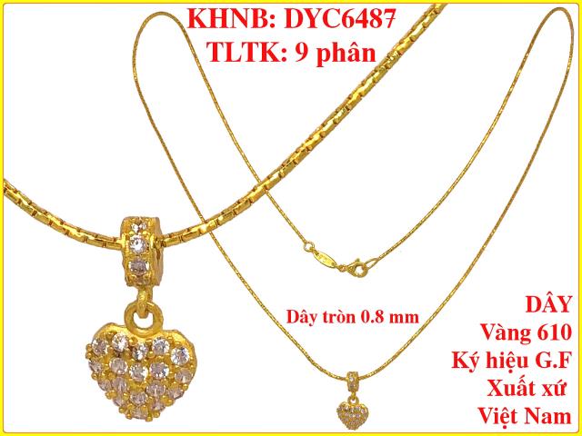 DYC6487