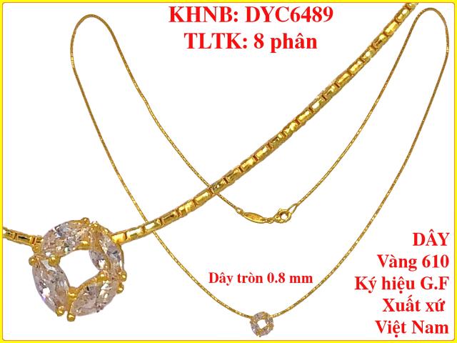 DYC6489