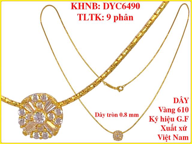 DYC6490