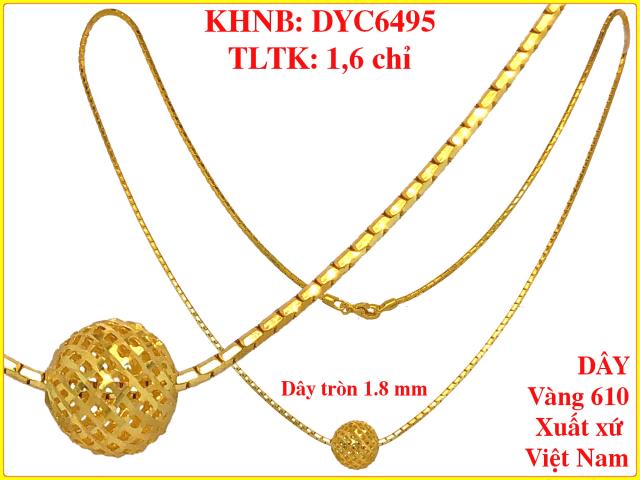 DYC6495