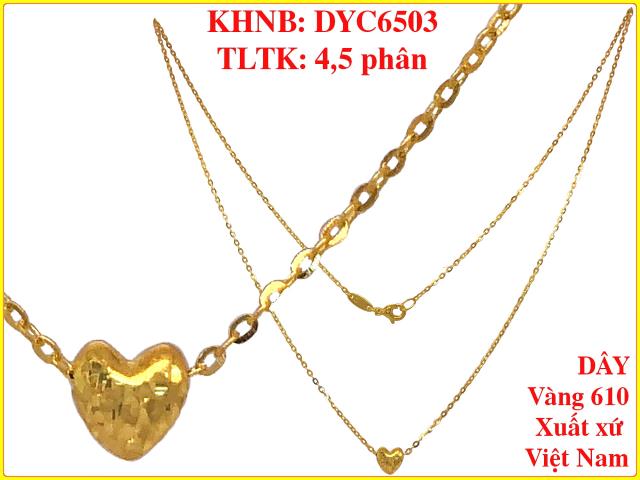 DYC6503
