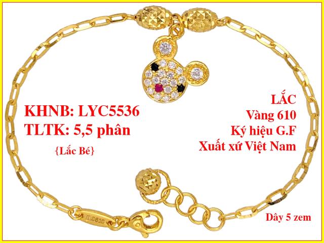 LYC5536-BE