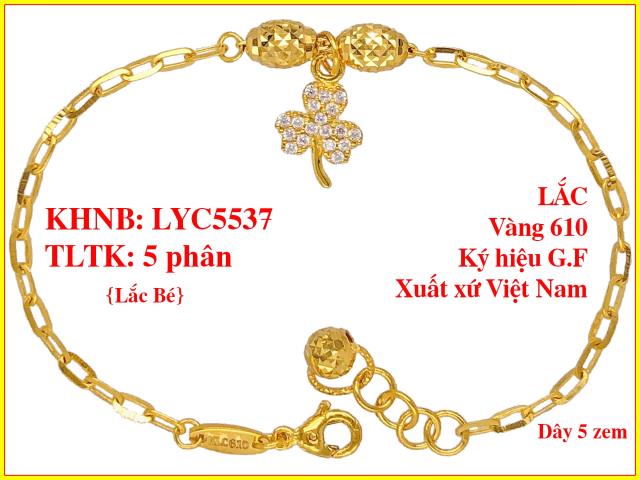 LYC5537-BE