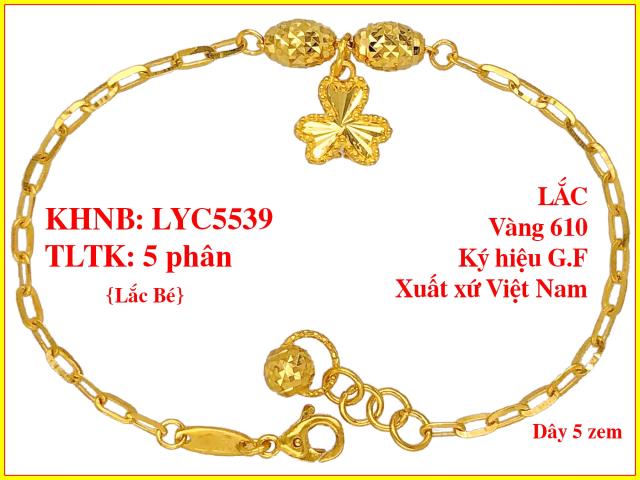 LYC5539-BE
