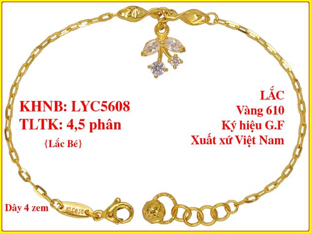 LYC5608-BE