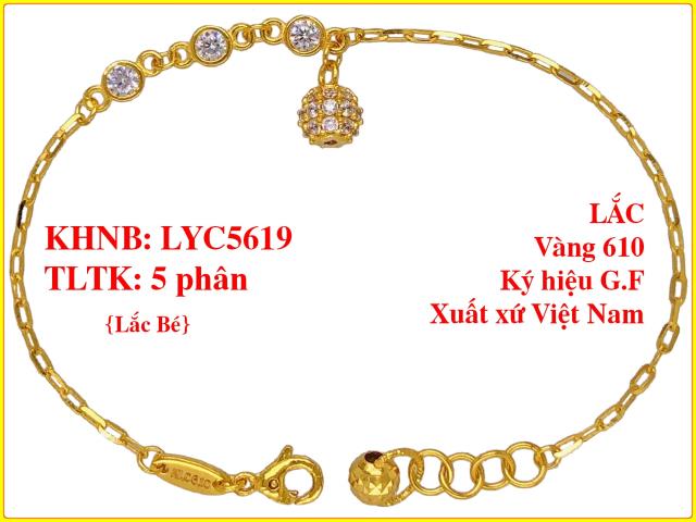 LYC5619-BE