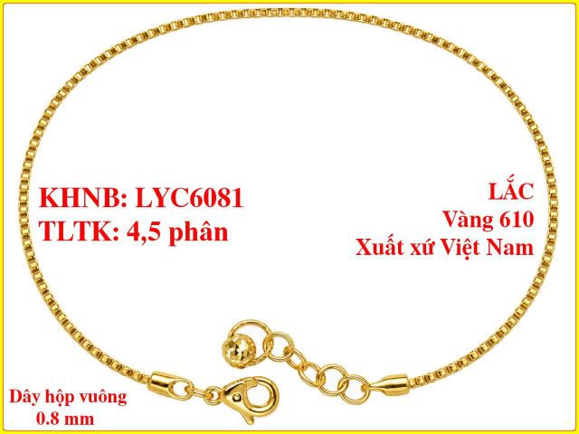 LYC6081