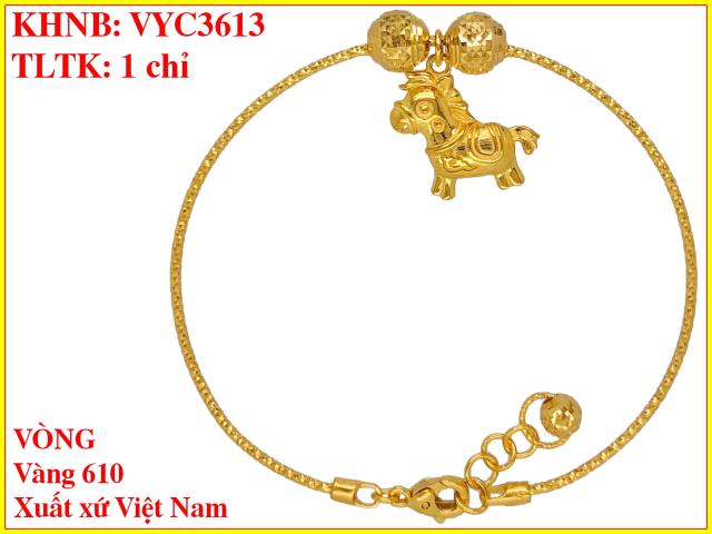 VYC3613
