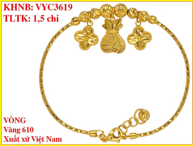 VYC3619