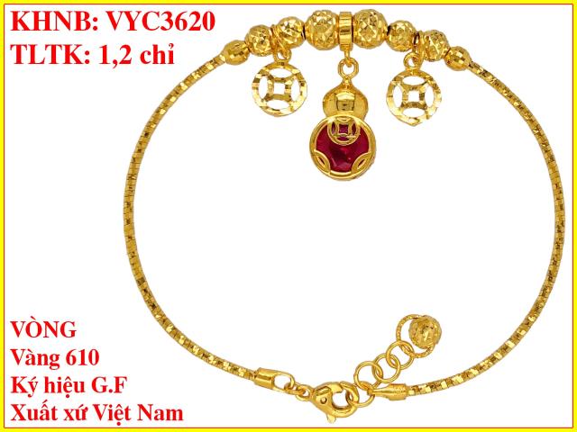 VYC3620