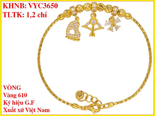 VYC3650