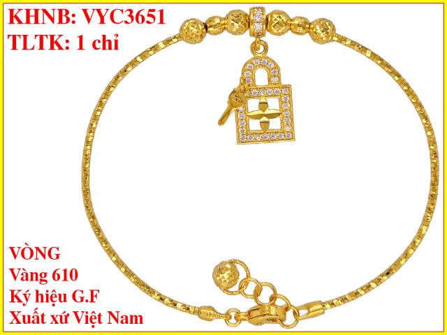 VYC3651