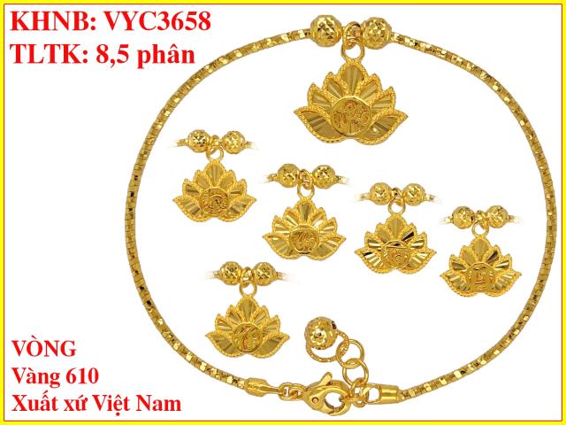 VYC3658