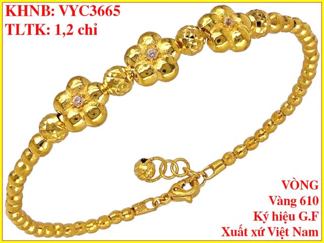 VYC3665