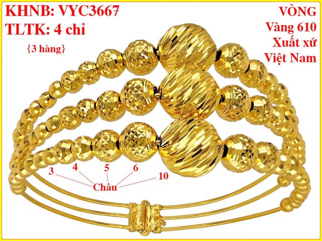 VYC3667