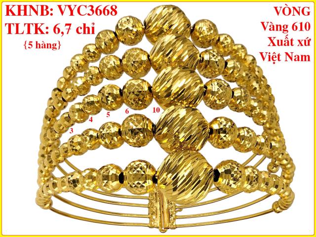 VYC3668