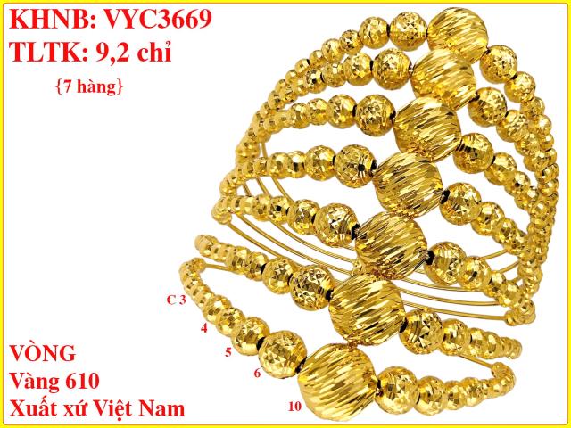 VYC3669